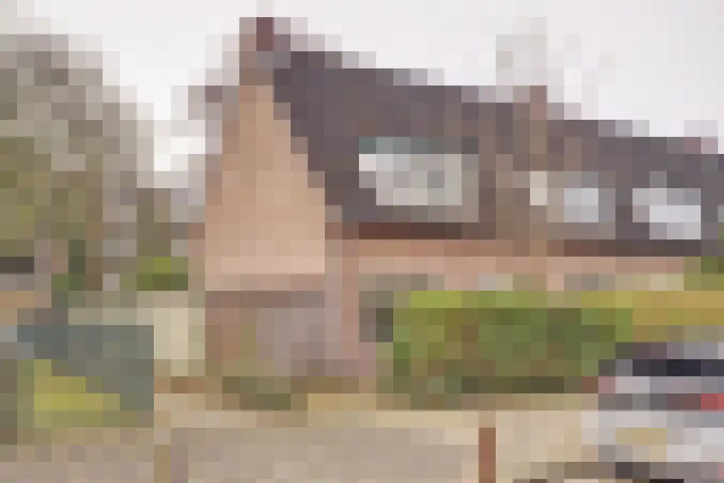 Amandelstraat 69 Utrecht thumbnail 34