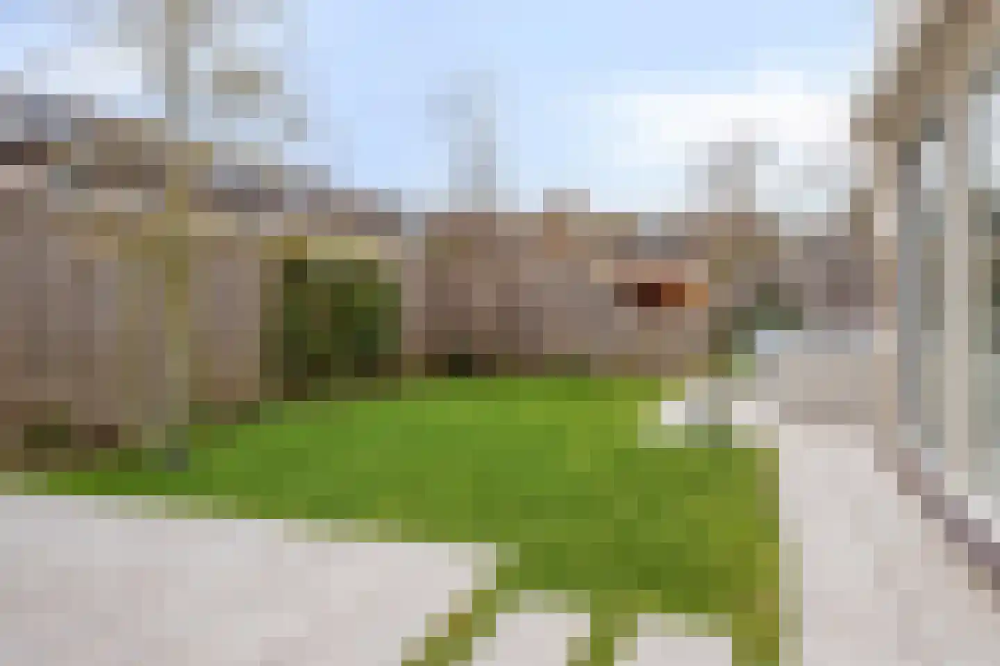 Amaniet 19 Krimpen aan den IJssel thumbnail 39