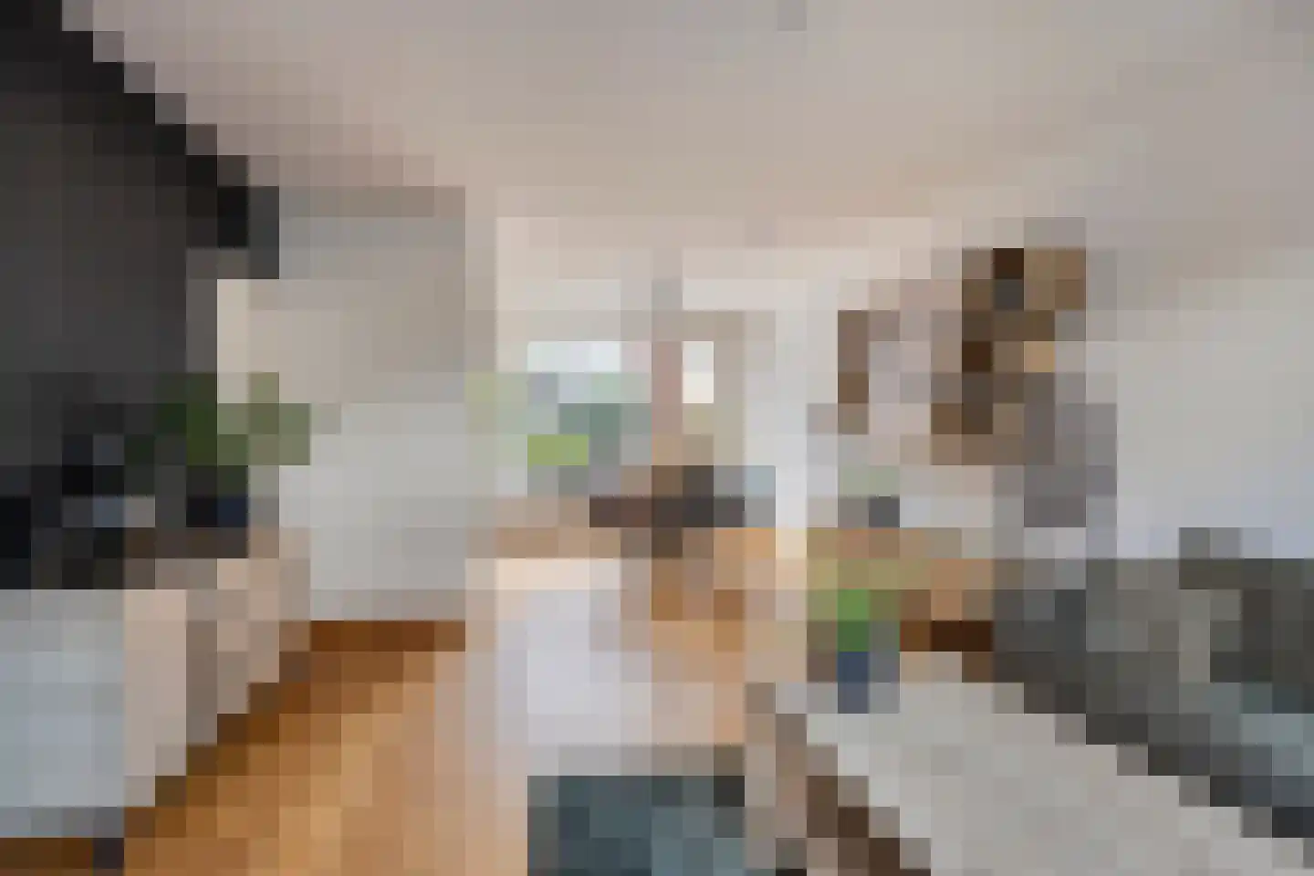 Amanietenhof 8 Asten thumbnail 12