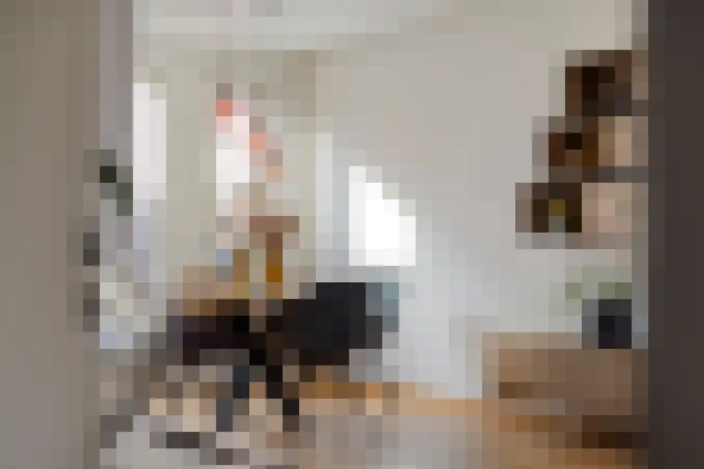 Amanietenhof 8 Asten thumbnail 15