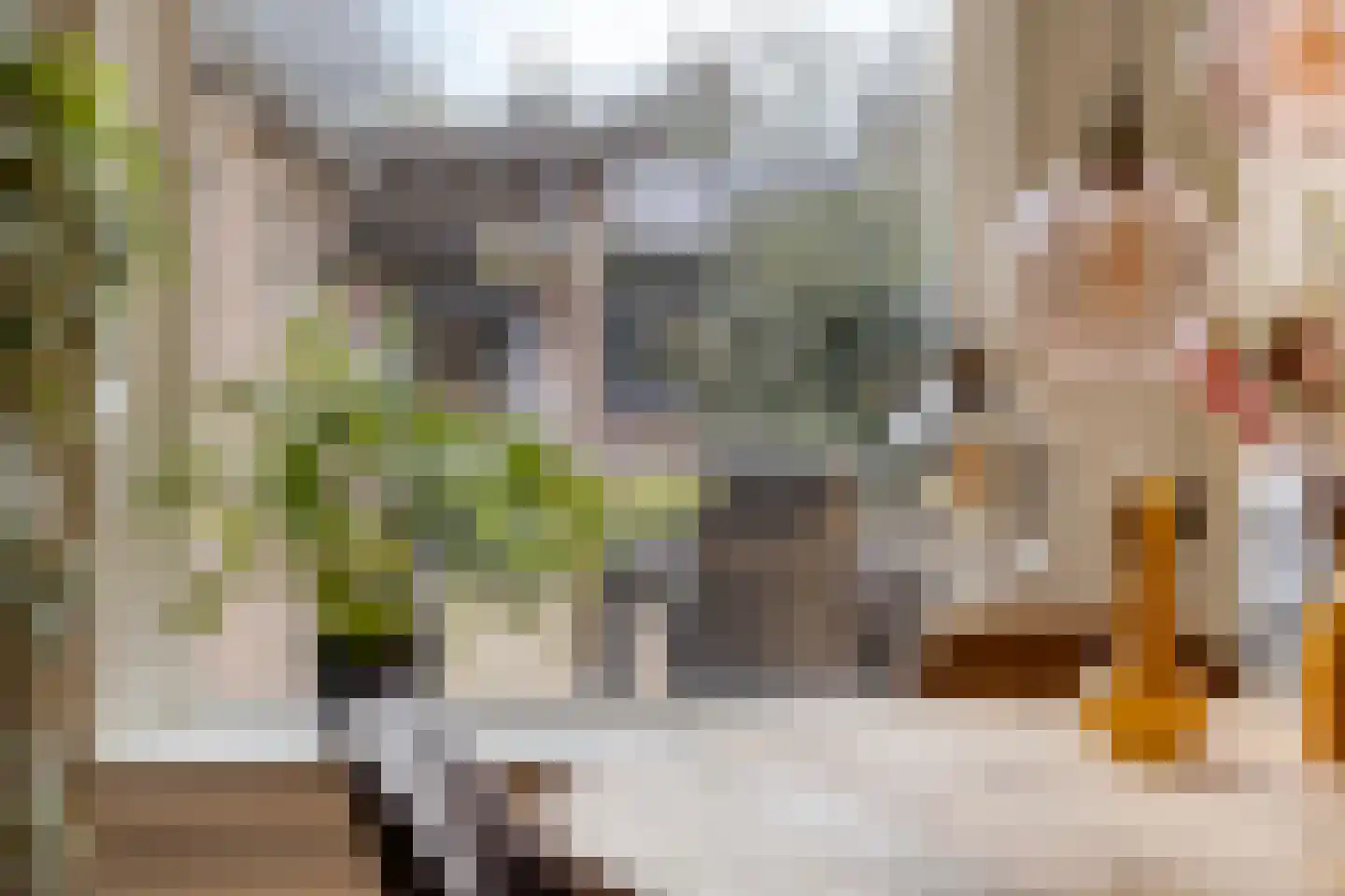 Amanietenhof 8 Asten thumbnail 16