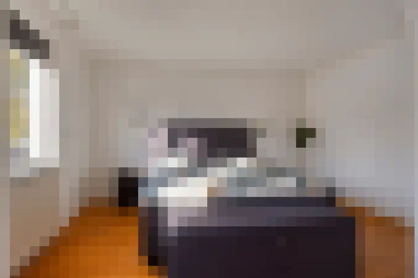 Amanietenhof 8 Asten thumbnail 18
