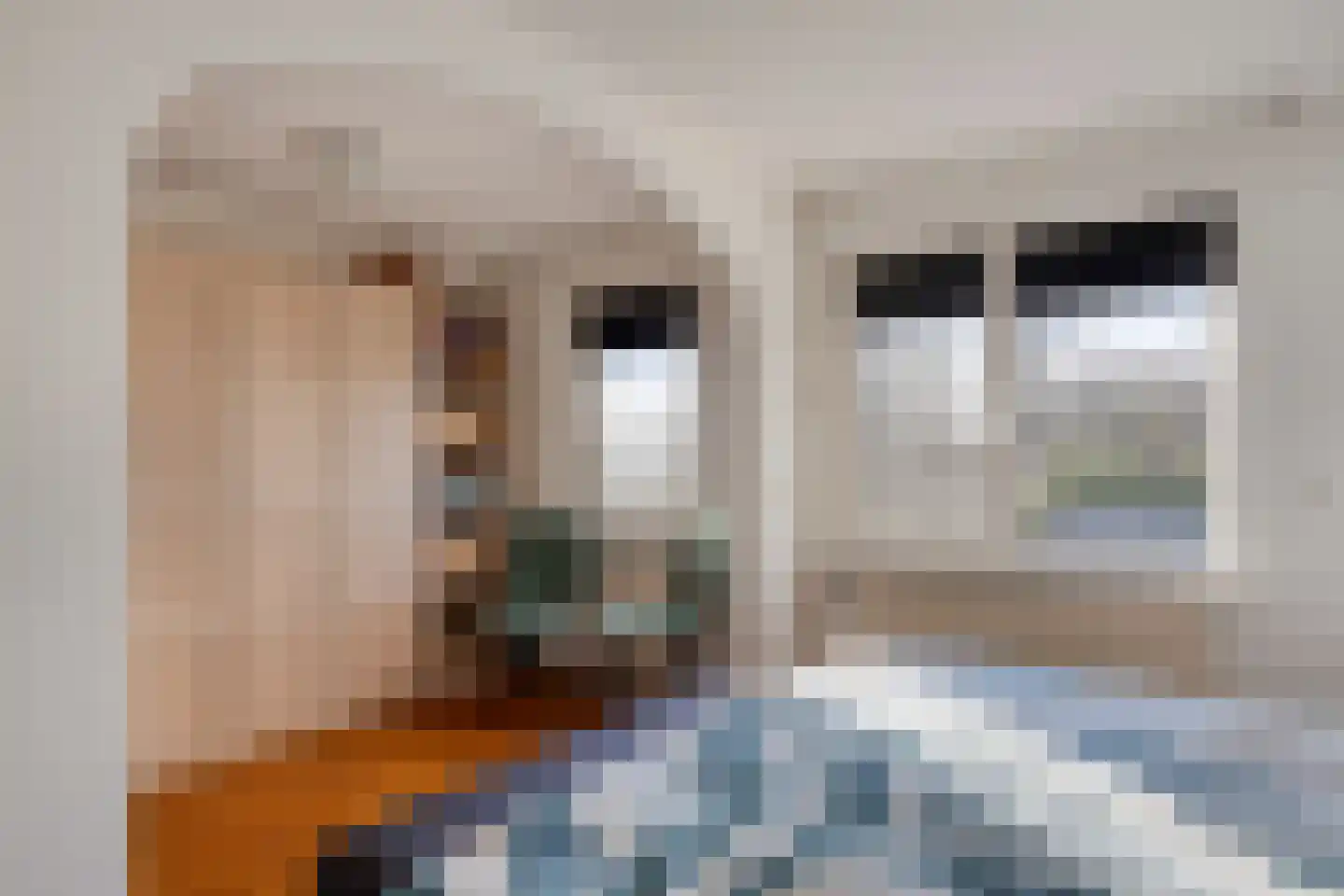 Amanietenhof 8 Asten thumbnail 19