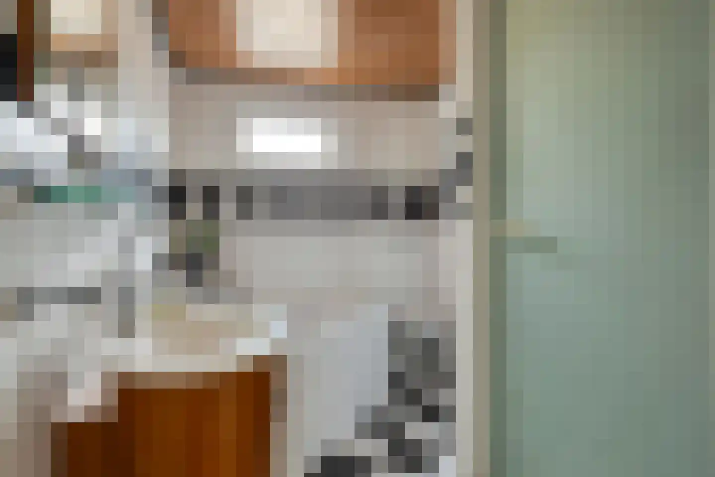 Amanietenhof 8 Asten thumbnail 21
