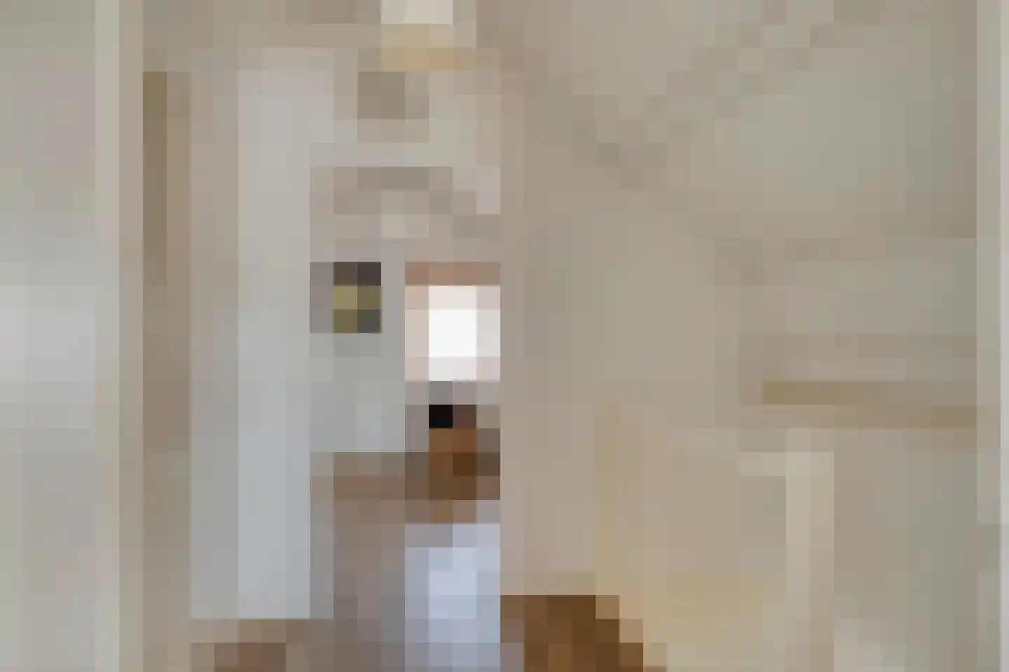 Amanietenhof 8 Asten thumbnail 26