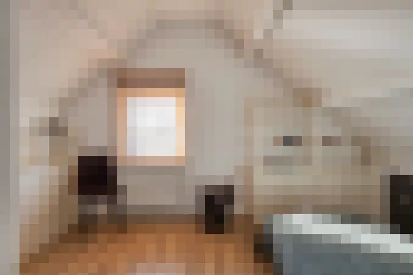 Amanietenhof 8 Asten thumbnail 27