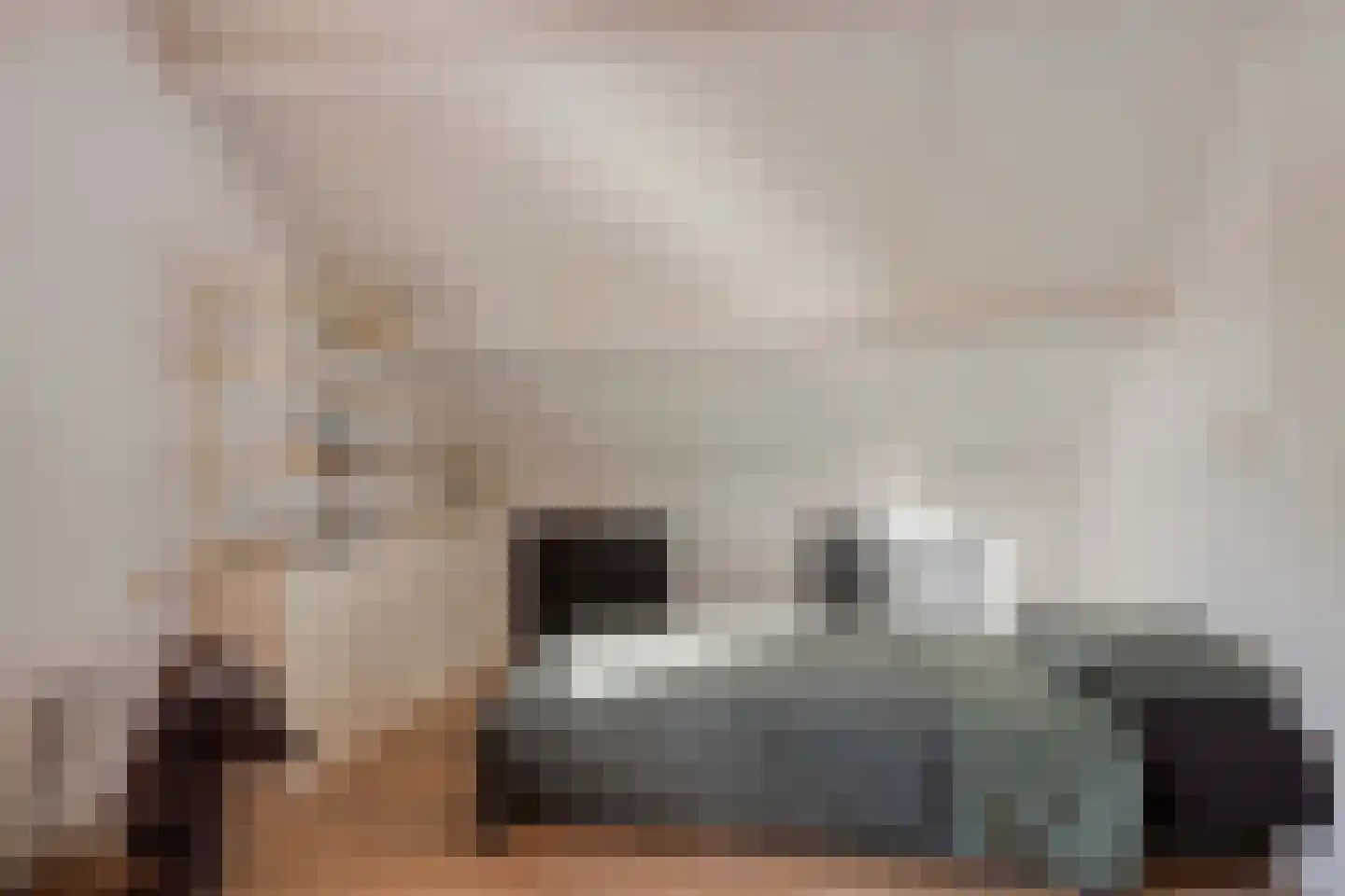 Amanietenhof 8 Asten thumbnail 28