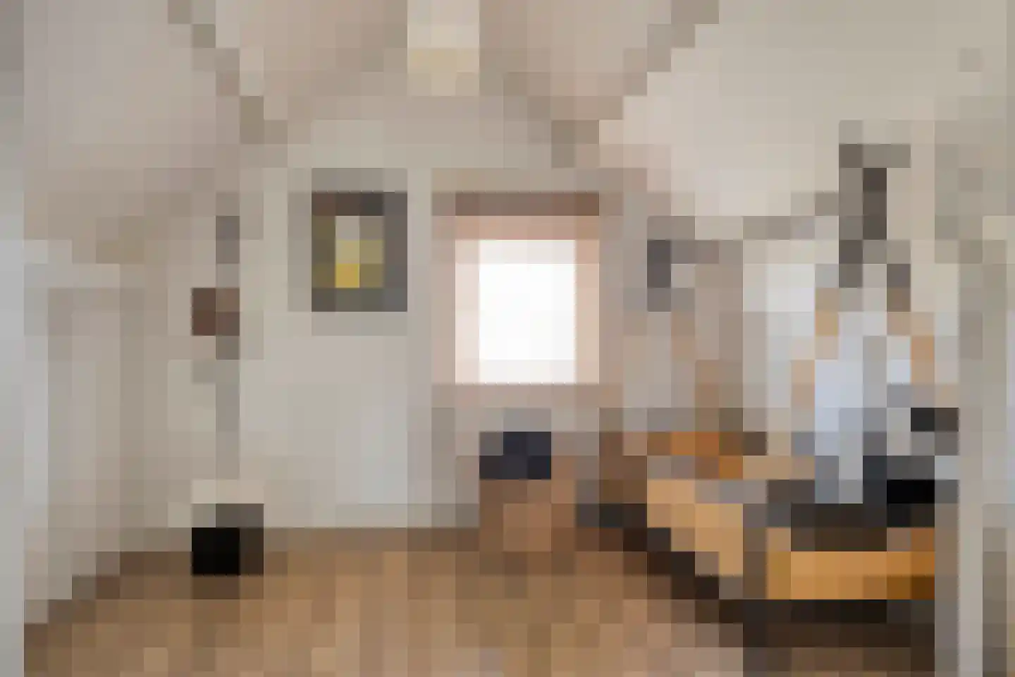 Amanietenhof 8 Asten thumbnail 29