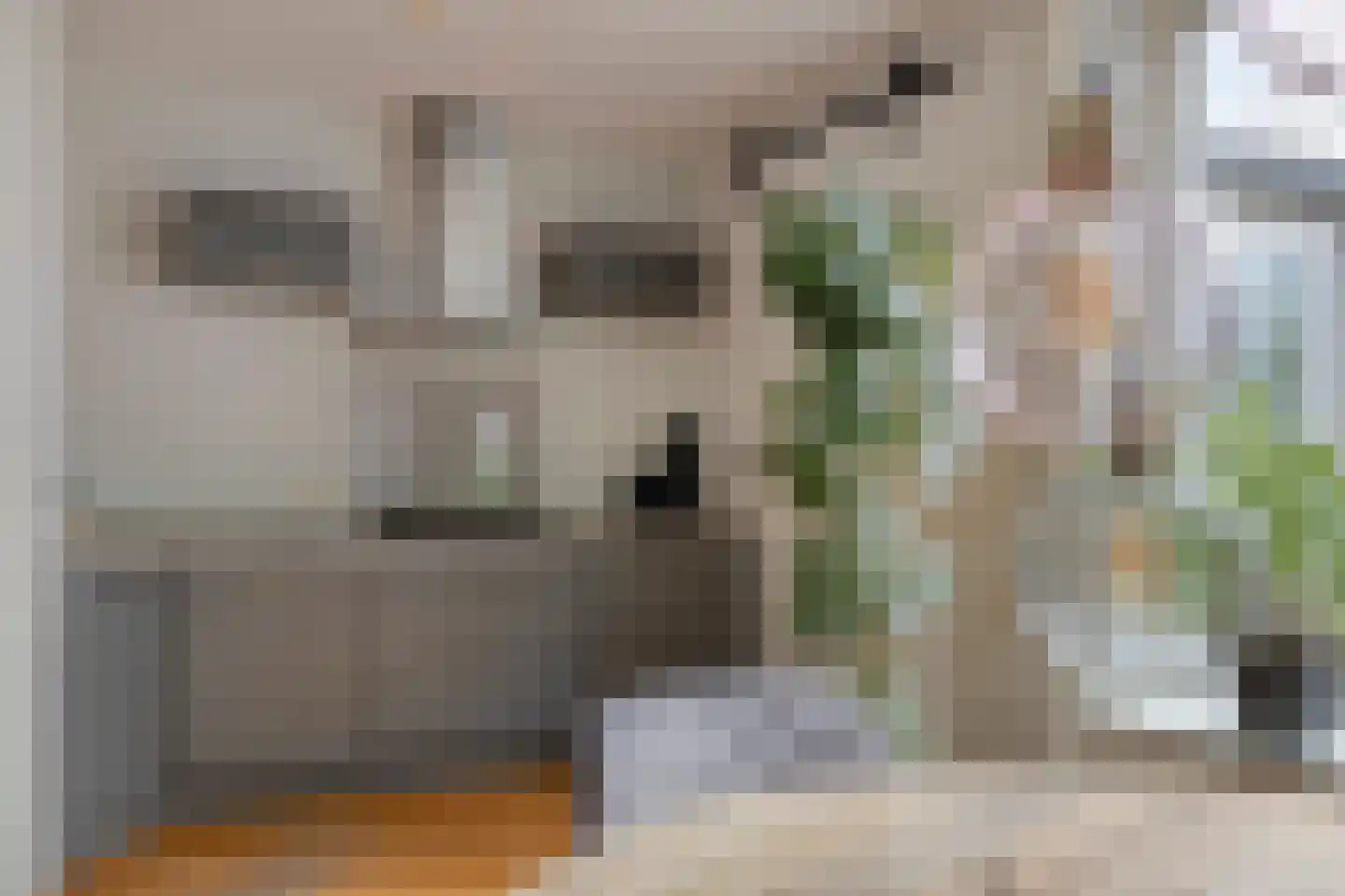 Amanietenhof 8 Asten thumbnail 31