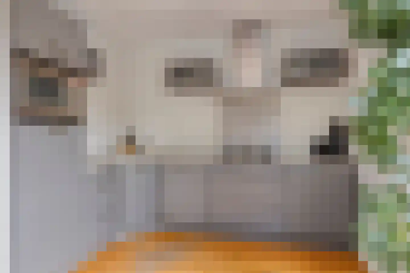 Amanietenhof 8 Asten thumbnail 32