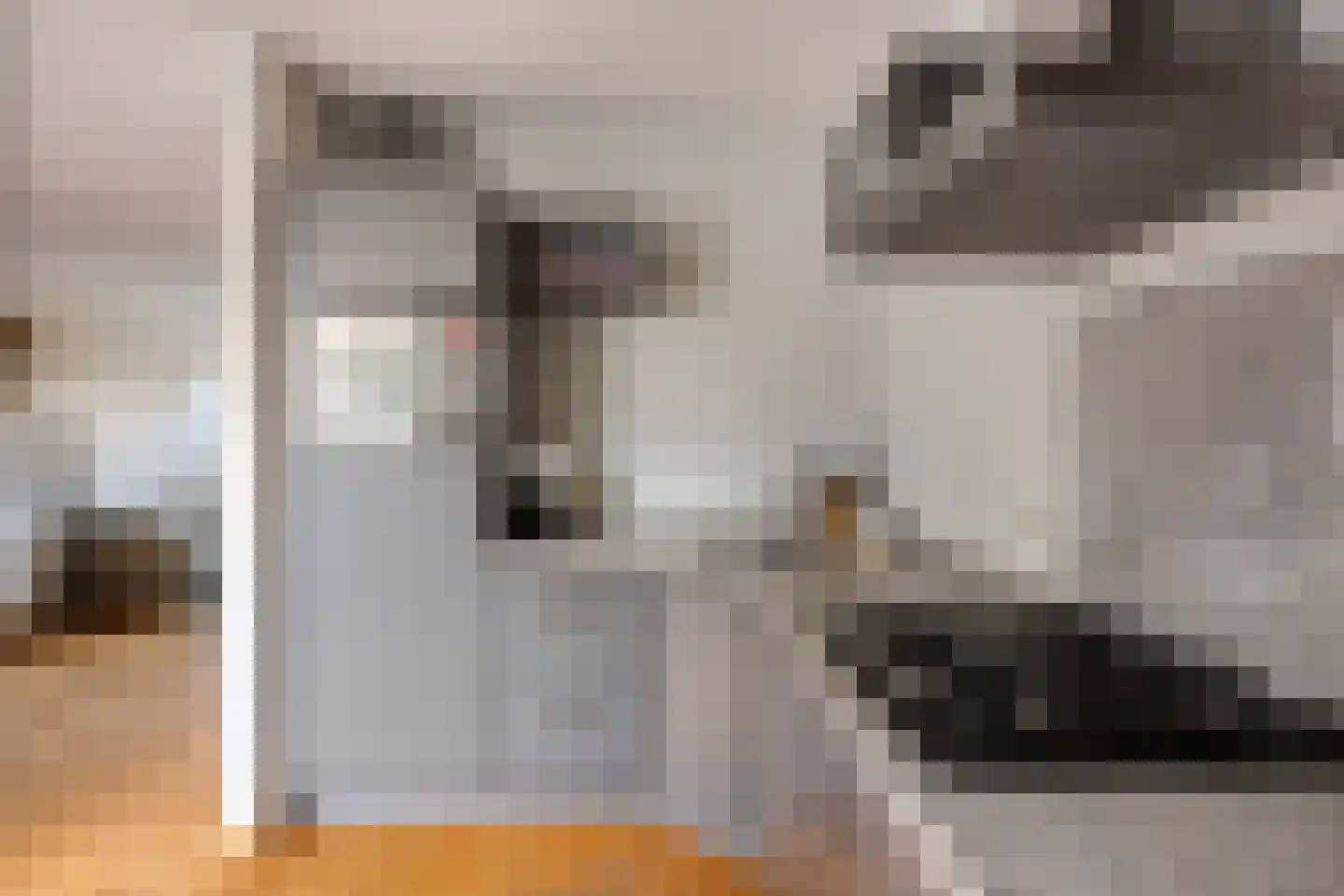 Amanietenhof 8 Asten thumbnail 33