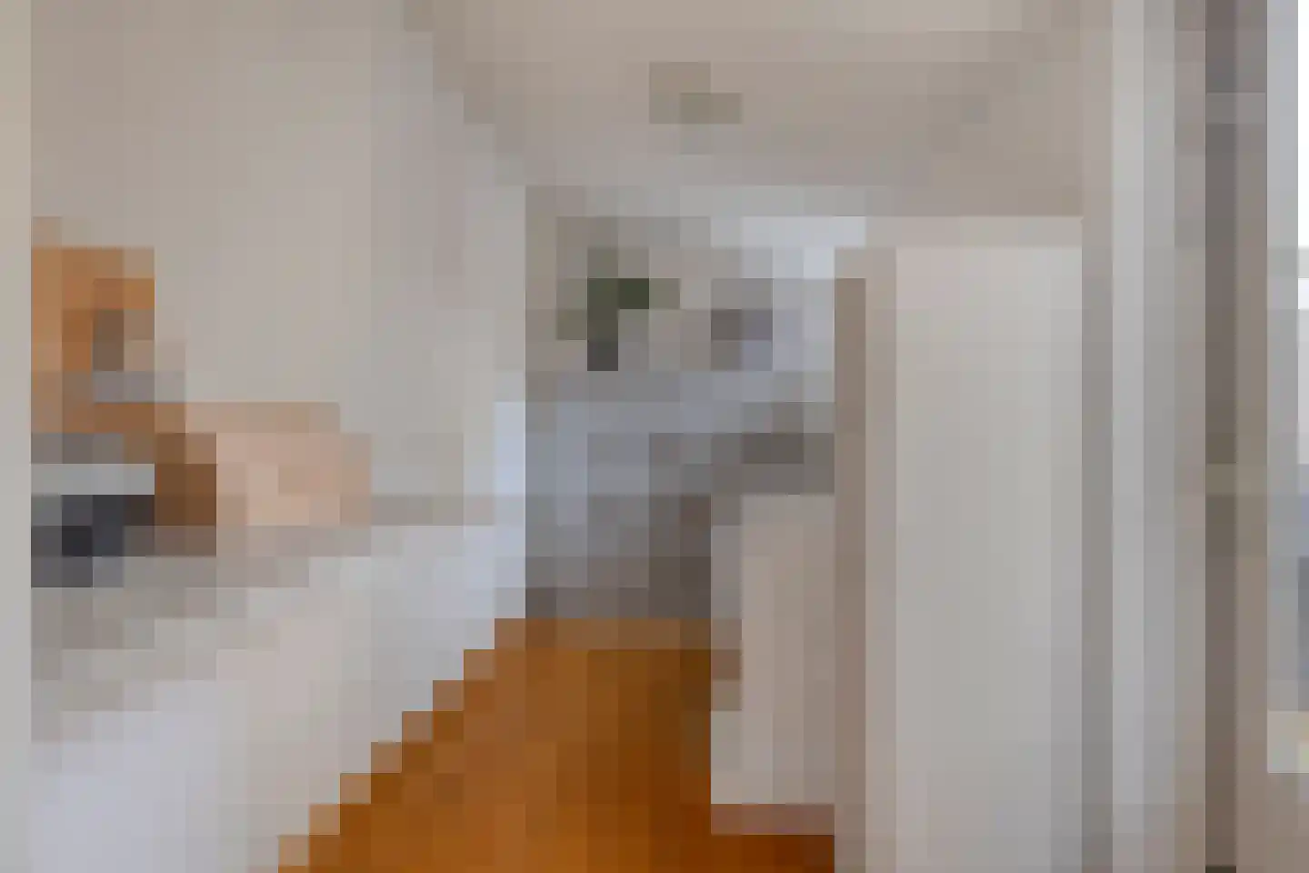 Amanietenhof 8 Asten thumbnail 35