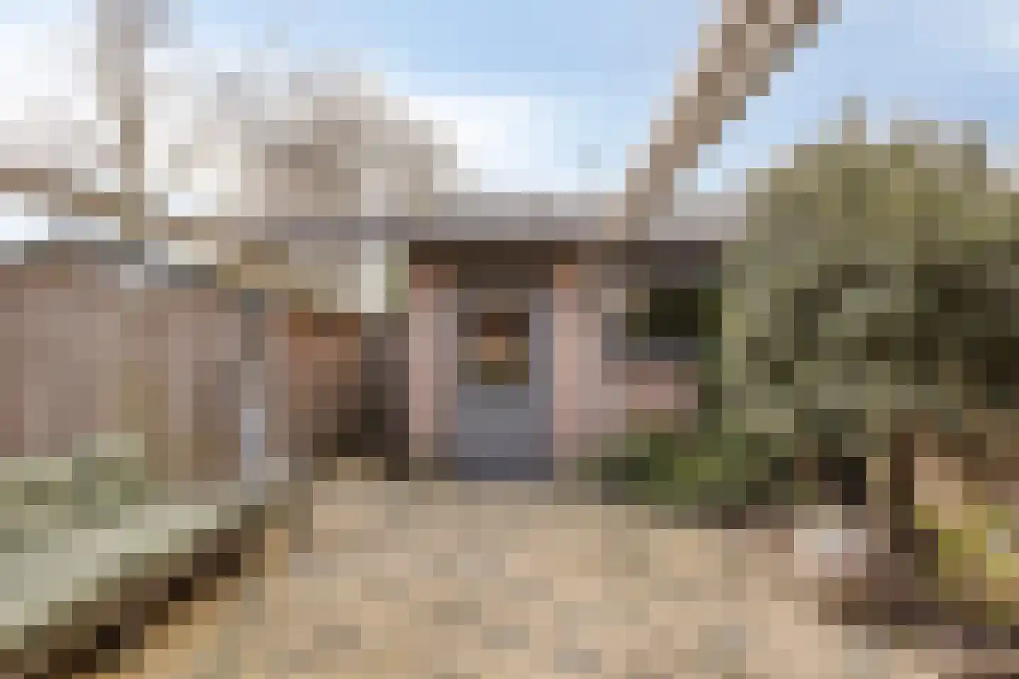 Amanietenhof 8 Asten thumbnail 37