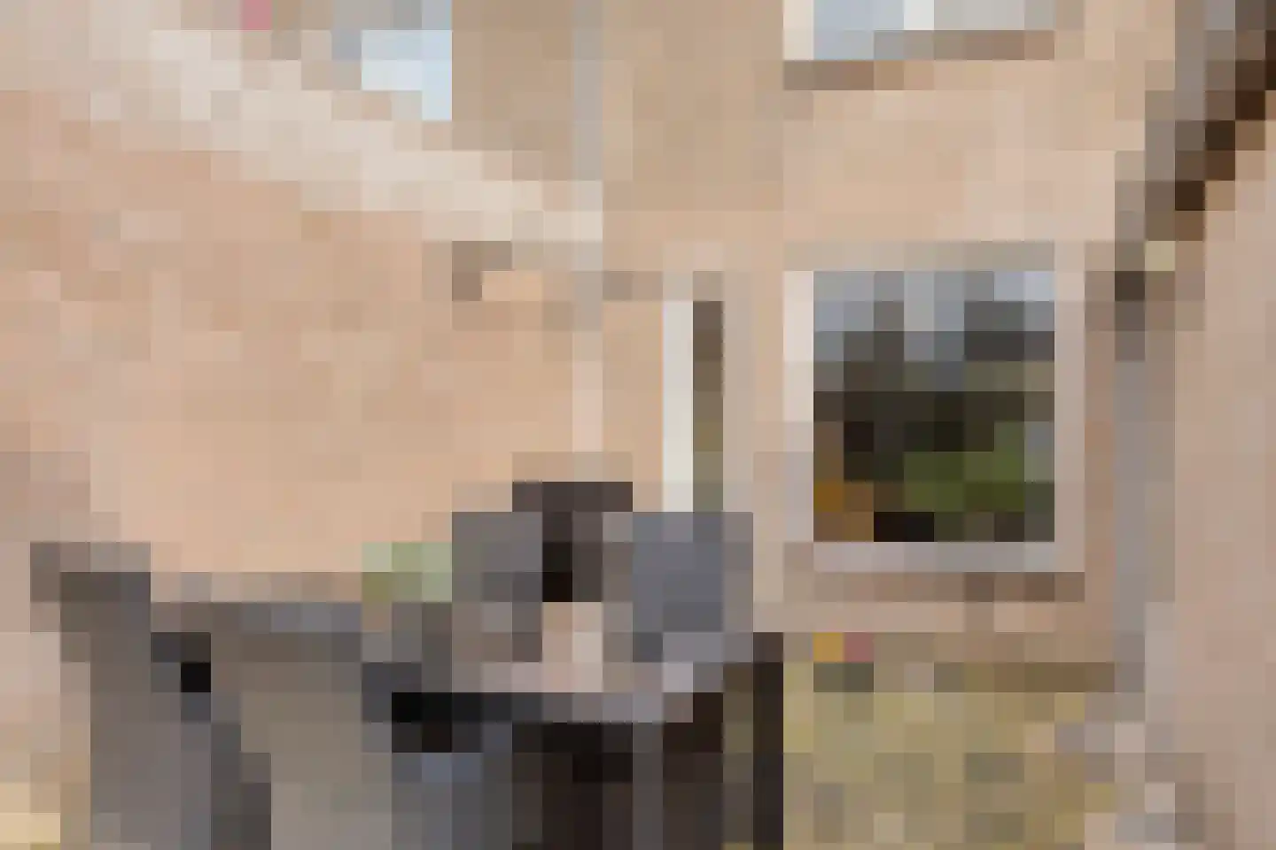 Amanietenhof 8 Asten thumbnail 38