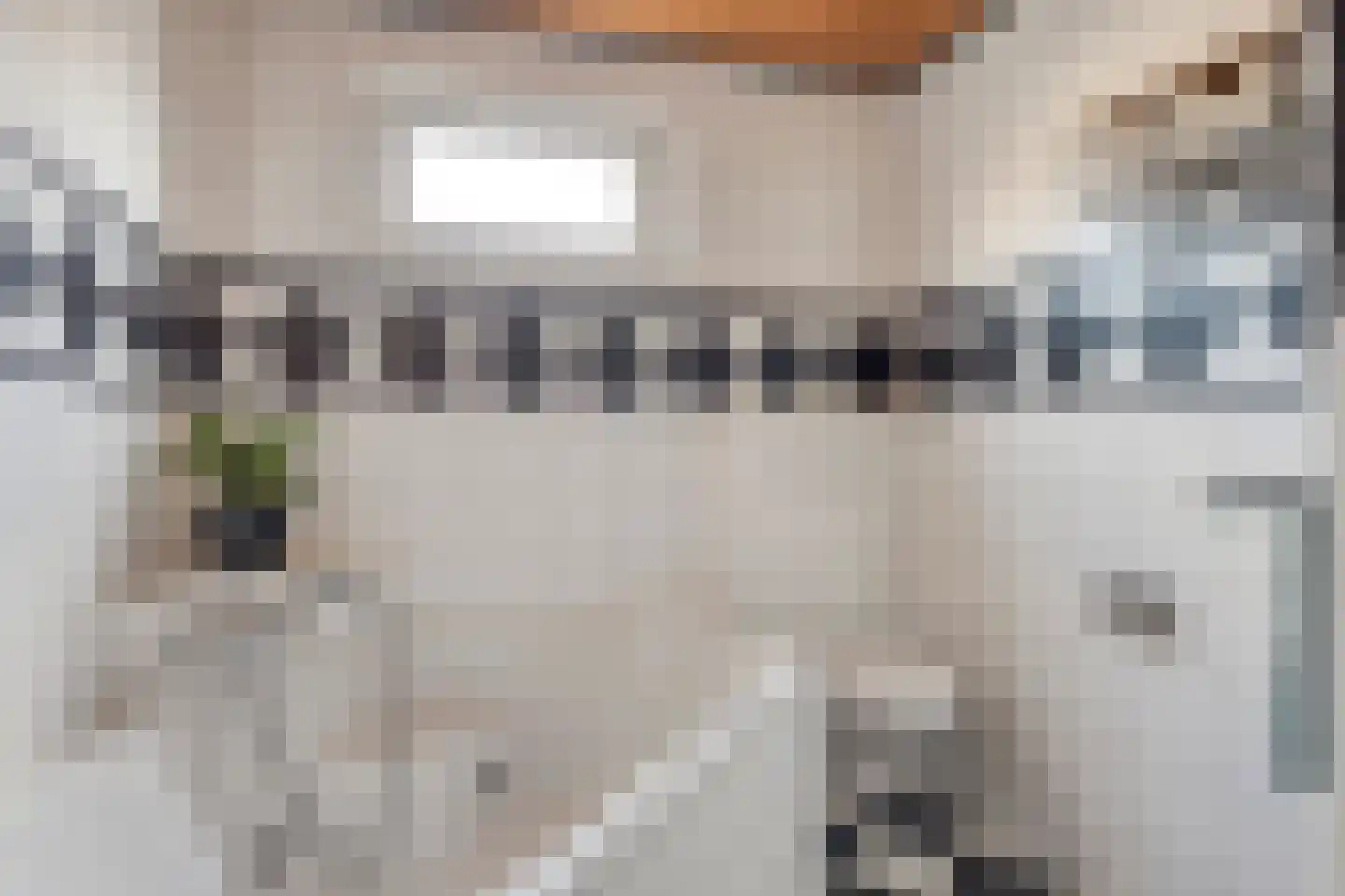 Amanietenhof 8 Asten thumbnail 4