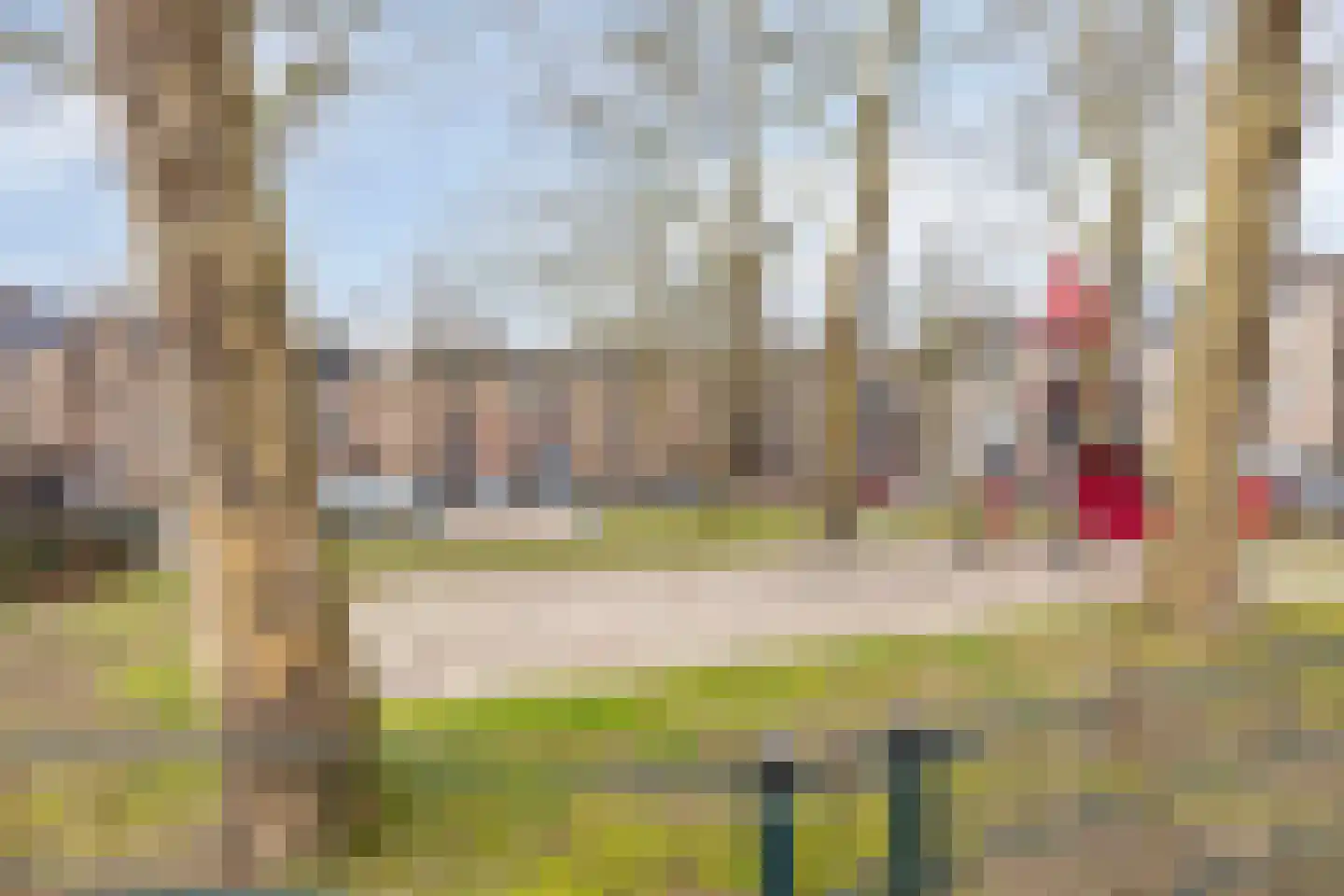 Amanietenhof 8 Asten thumbnail 41