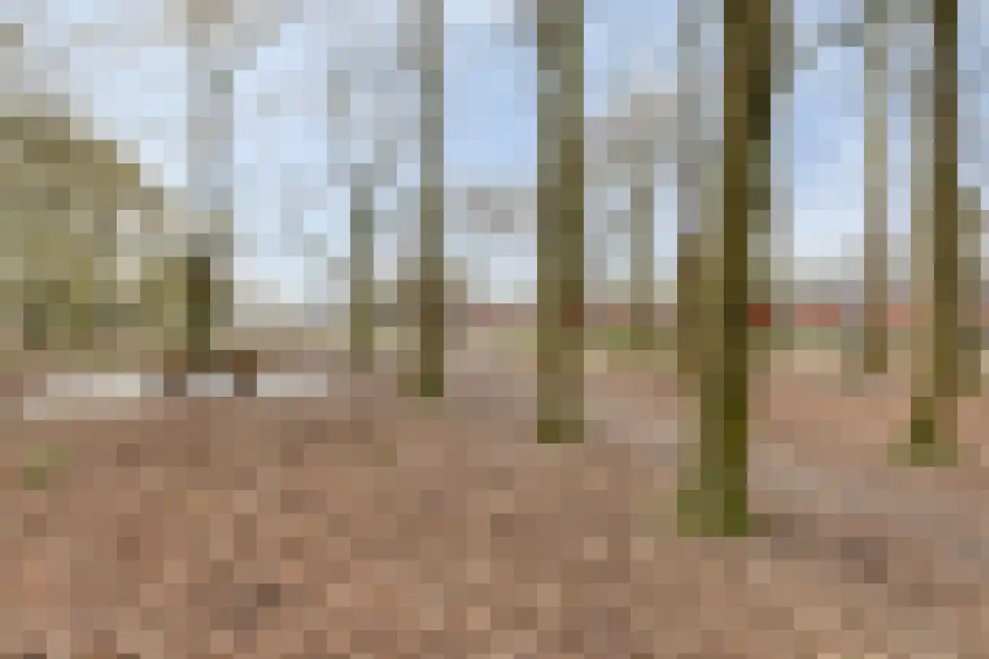 Amanietenhof 8 Asten thumbnail 42