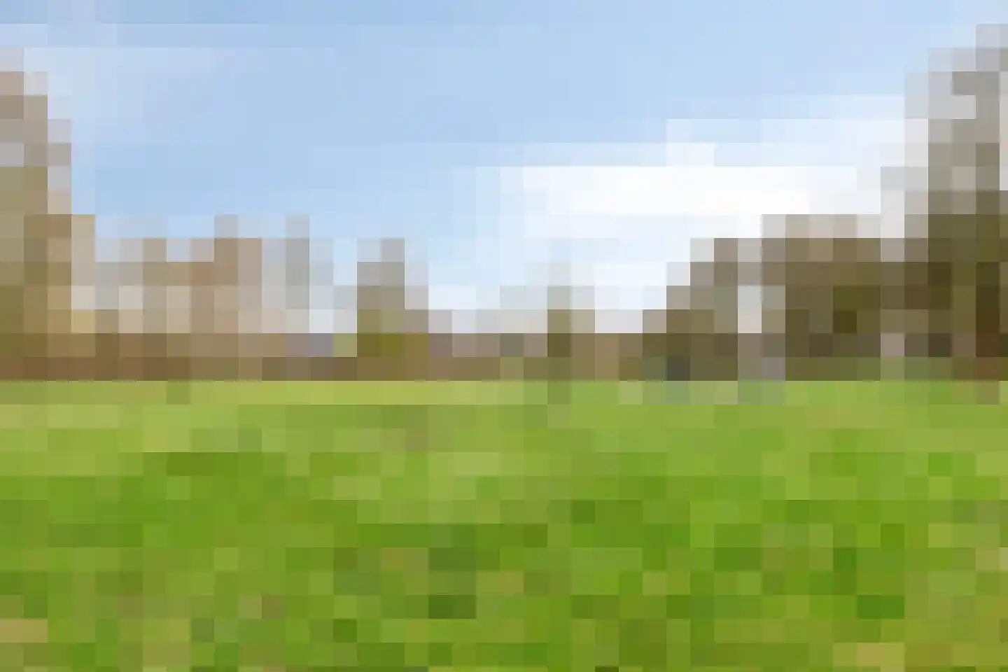 Amanietenhof 8 Asten thumbnail 43