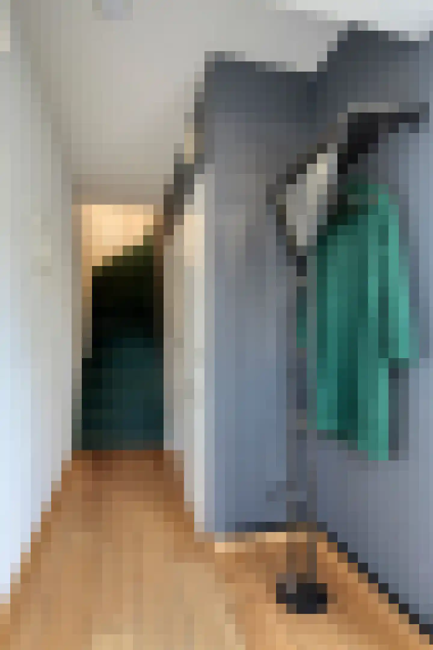 Amanietenhof 8 Asten thumbnail 9