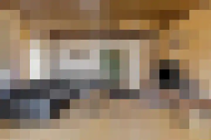 Amansweg 25 Wilbertoord thumbnail 11