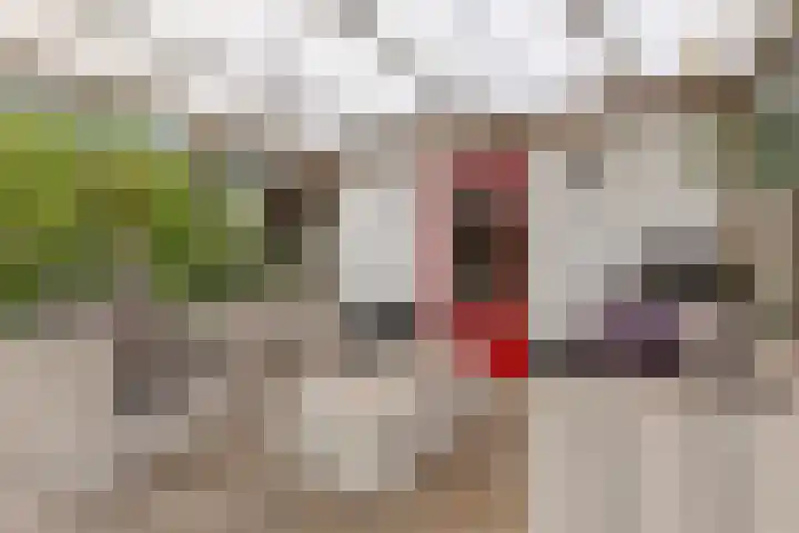 Amansweg 25 Wilbertoord thumbnail 24