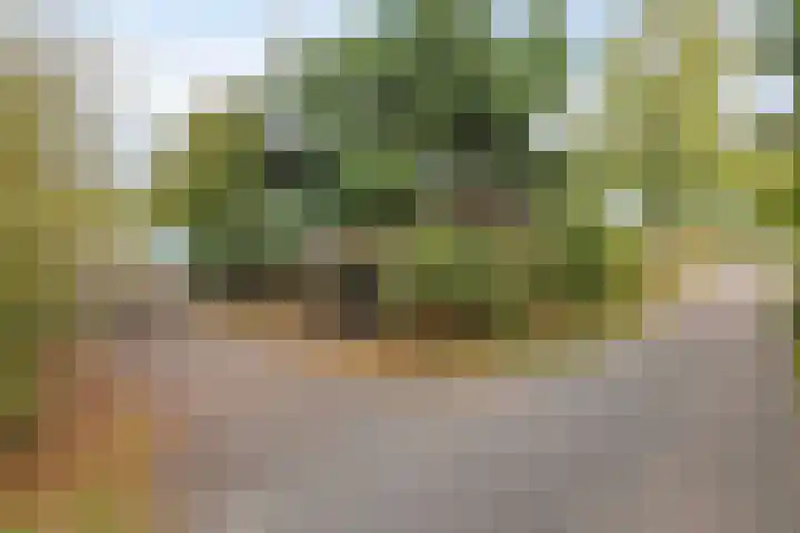 Amansweg 25 Wilbertoord thumbnail 27