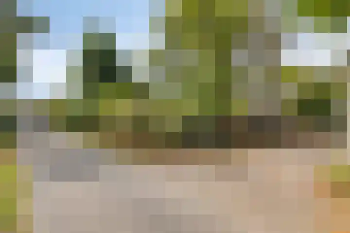 Amansweg 25 Wilbertoord thumbnail 28