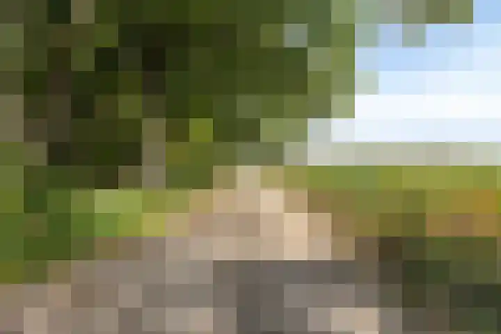 Amansweg 25 Wilbertoord thumbnail 30