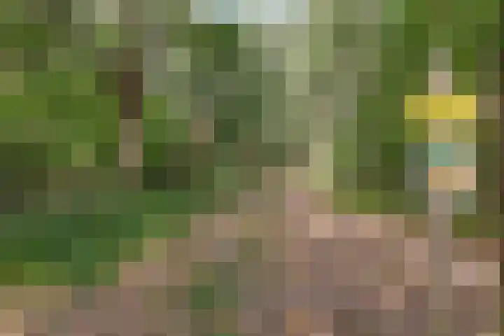 Amansweg 25 Wilbertoord thumbnail 31