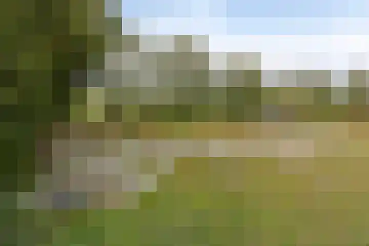 Amansweg 25 Wilbertoord thumbnail 6
