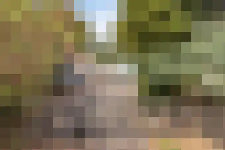 Amansweg 25 Wilbertoord thumbnail 8