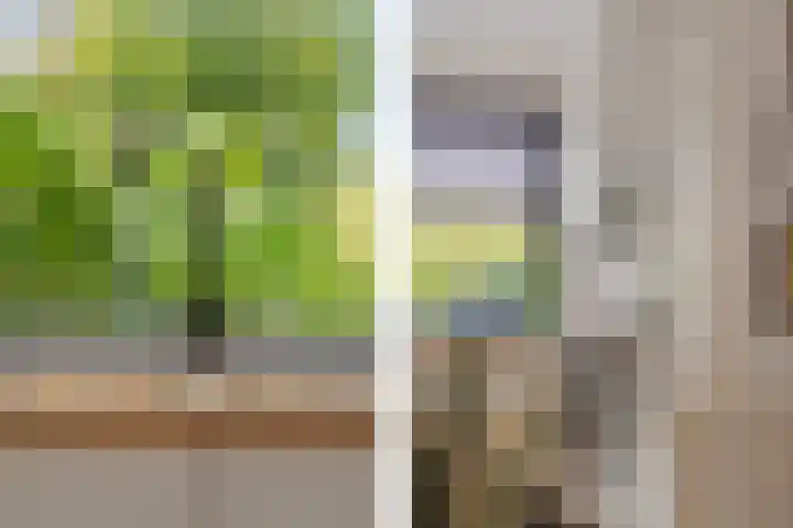 Amaranthout 22 Zoetermeer thumbnail 12