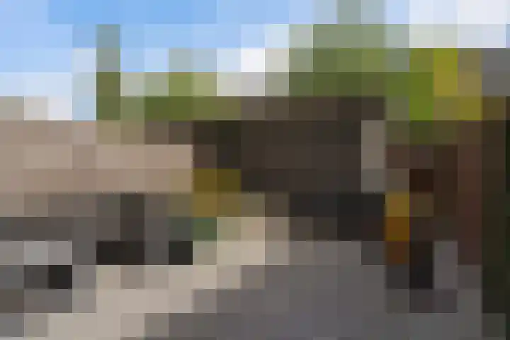 Amaranthout 22 Zoetermeer thumbnail 19