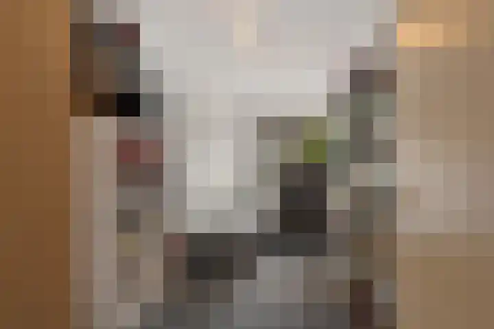 Amaranthout 22 Zoetermeer thumbnail 25