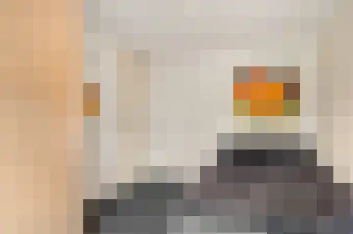 Amaranthout 22 Zoetermeer thumbnail 33