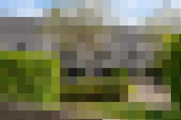 Amaranthout 22 Zoetermeer thumbnail 45