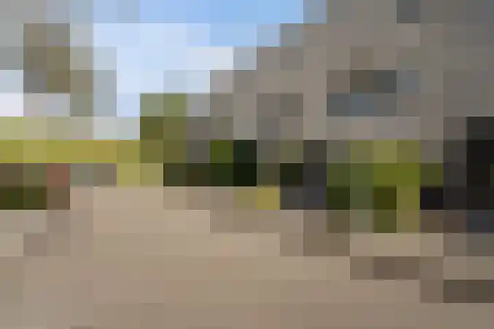 Amaranthout 22 Zoetermeer thumbnail 47