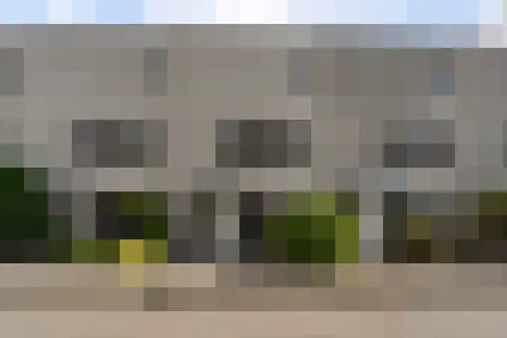 Amaranthout 22 Zoetermeer thumbnail 48