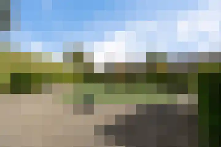 Amaranthout 22 Zoetermeer thumbnail 49