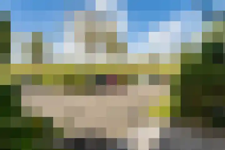 Amaranthout 22 Zoetermeer thumbnail 51