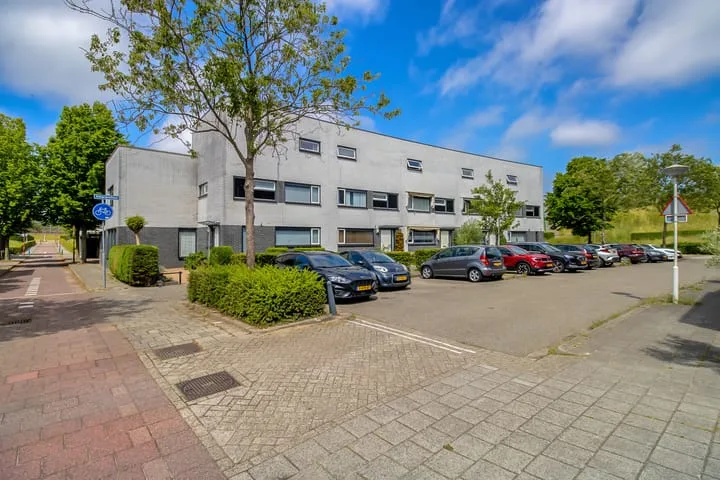 Amaranthout 5 dans Zoetermeer