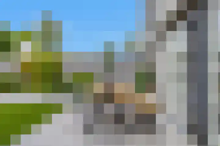 Amaranthout 5 Zoetermeer thumbnail 10