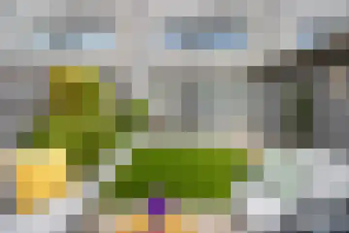 Amaranthout 5 Zoetermeer thumbnail 12