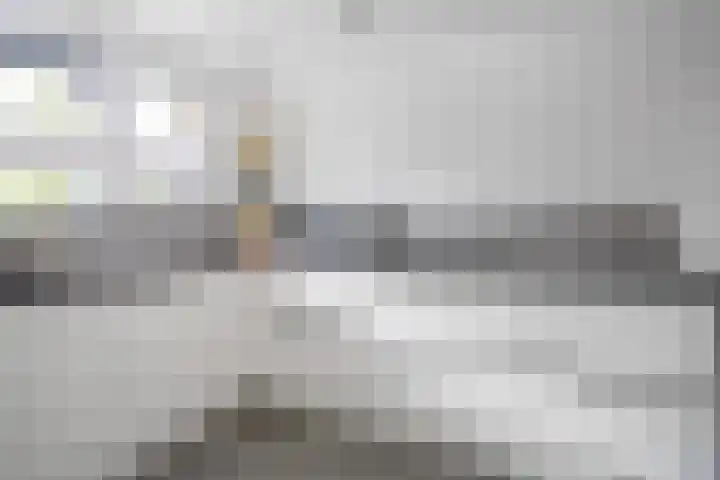 Amaranthout 5 Zoetermeer thumbnail 14