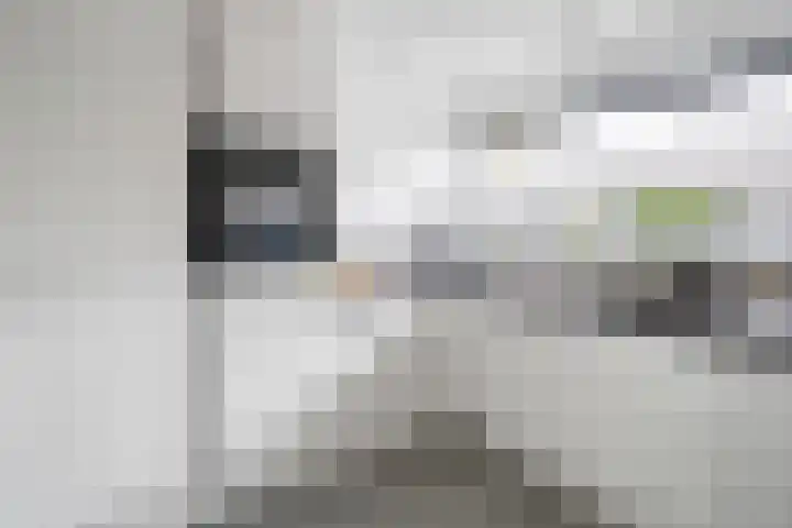 Amaranthout 5 Zoetermeer thumbnail 16
