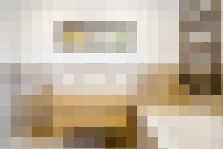 Amaranthout 5 Zoetermeer thumbnail 20