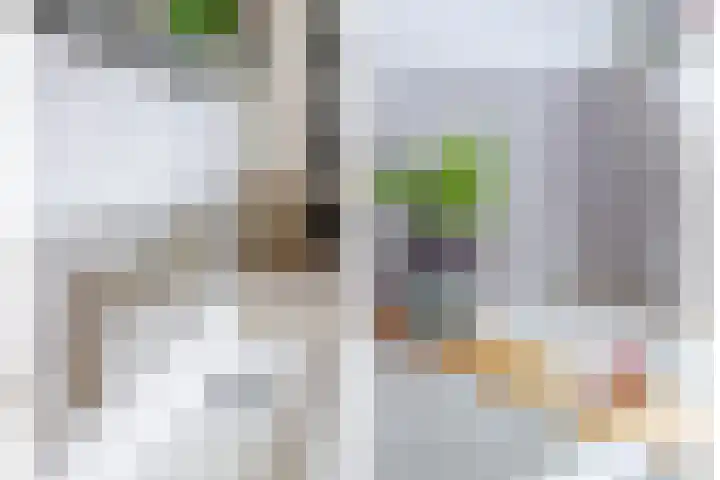 Amaranthout 5 Zoetermeer thumbnail 21