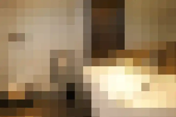 Amaranthout 5 Zoetermeer thumbnail 24
