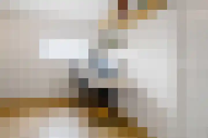 Amaranthout 5 Zoetermeer thumbnail 31