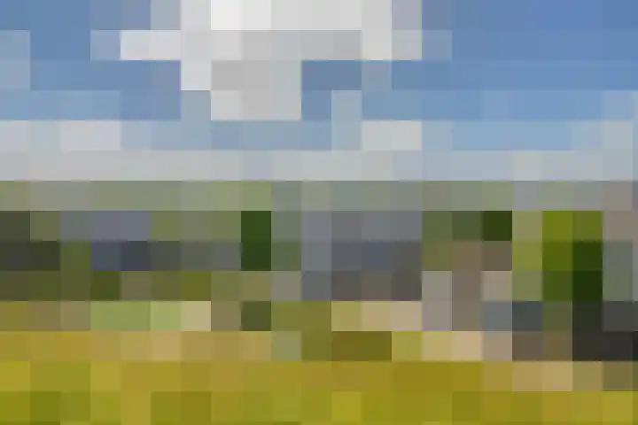 Amaranthout 5 Zoetermeer thumbnail 37